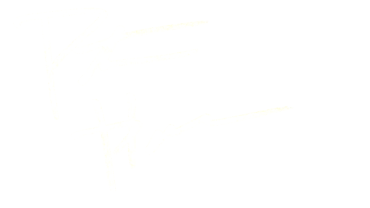 Patrick Hall's handwritten signature