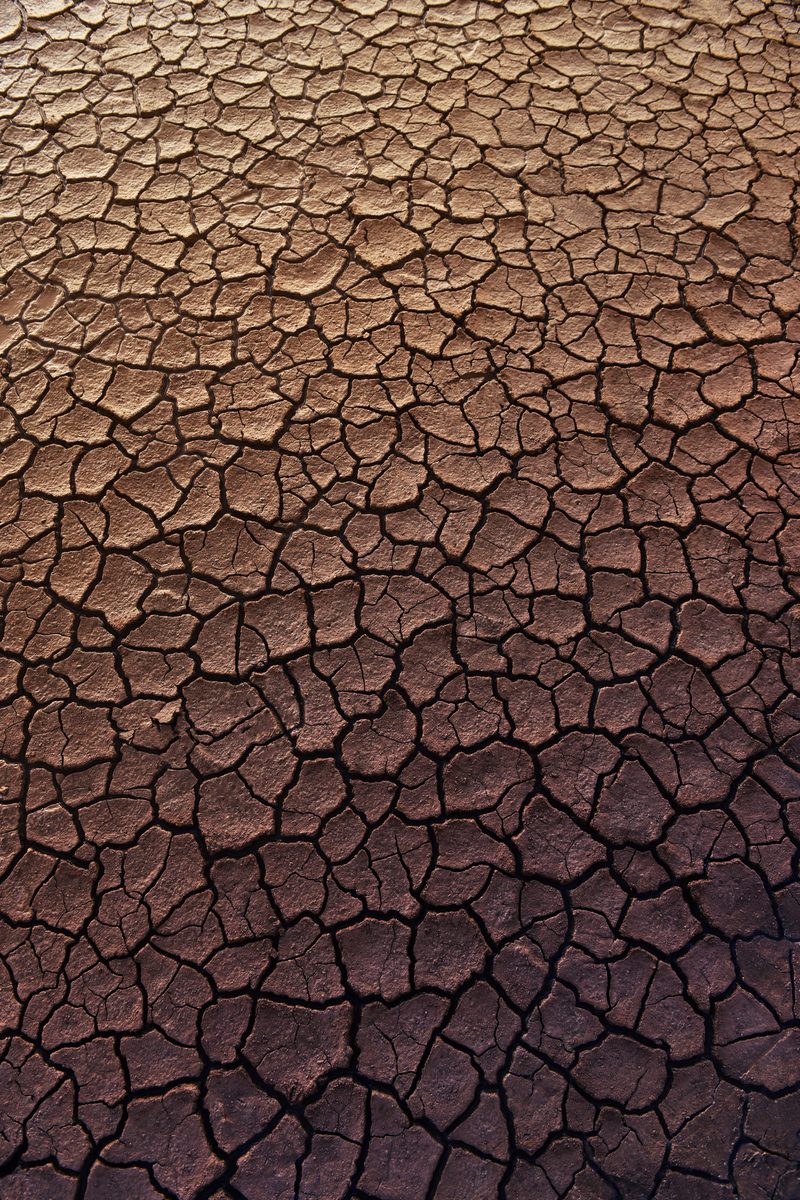 Close-up of dry, deeply cracked desert earth