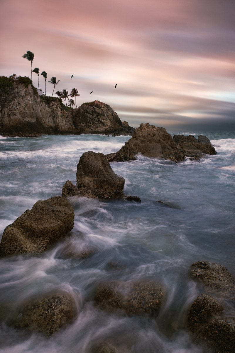 Rocky coastline with palm trees atop a cliff and long-exposure waves crashing over rocks at dusk