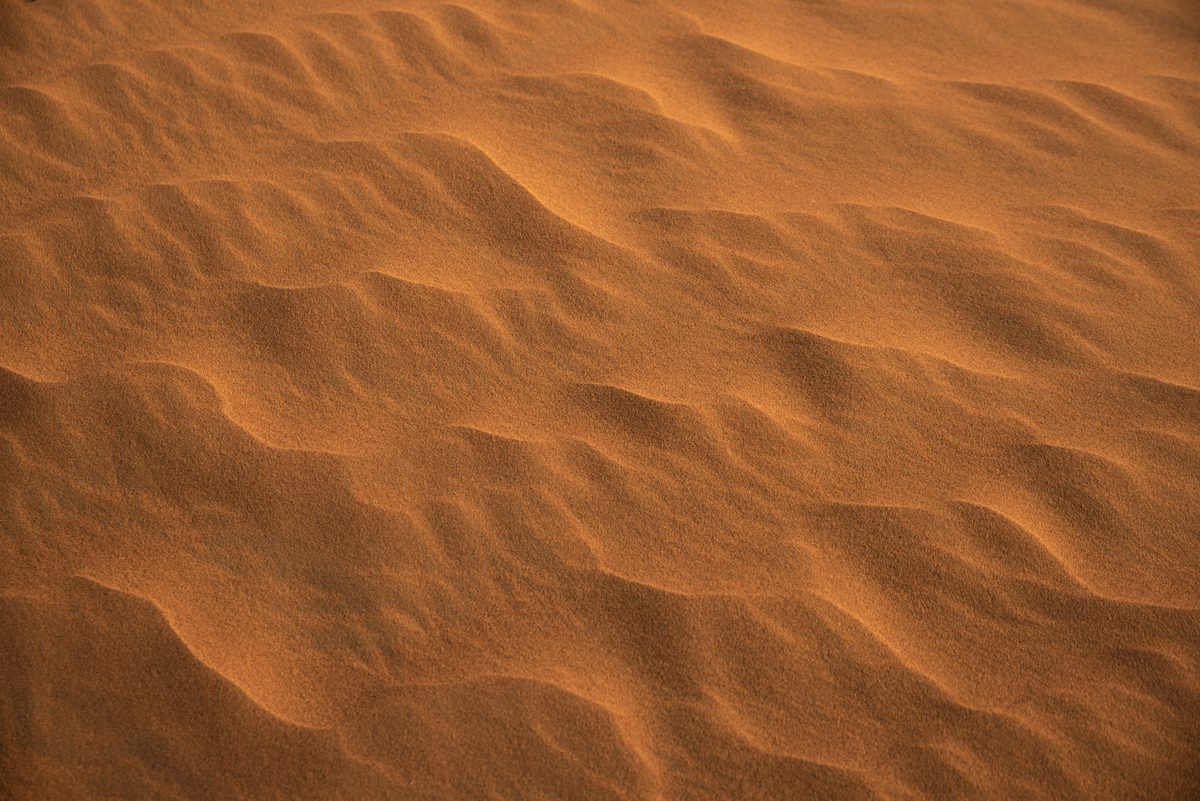 Close-up of rippled orange sand dunes in soft light